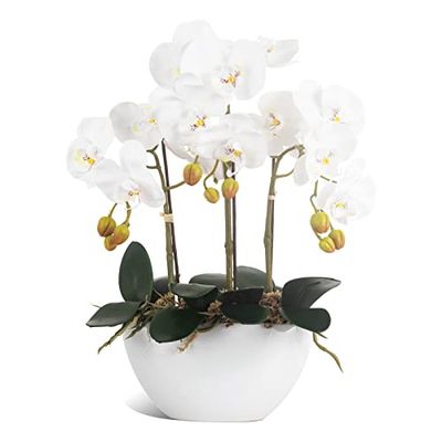 Ziwon Orchidée Artificielle en Pot dans Un Pot en céramique, orchidée phalaenopsis Blanche pour Centre de Table, Fausse Fleur réaliste dans Un Vase pour la Maison, Le Bureau, l'intérieur