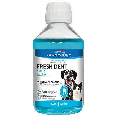 Francisco Codex Fresh Dent Petit Chien