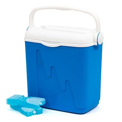Curver Nevera portátil con asa, Ideal para camping, playa, picnic, Capacidad 20 L, Color Azul