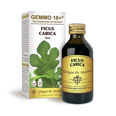 Dr. Giorgini Integratore Alimentare, Fico Gemmoderivato Concentrato Liquido Analcoolico - 100 ml