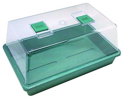 Biotop B2015B Boîte à germer Les semences Vert