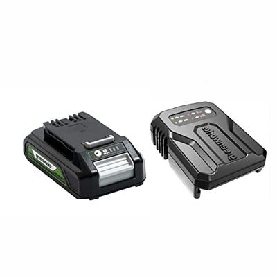Greenworks Cargador Universal y Batería 24V 2Ah - Herramientas Eléctricas y Jardinería, Potente Iones Litio, Carga en 60min, G24B2 & Cargador G24UCC