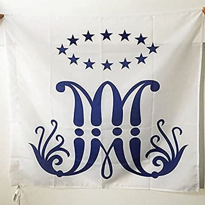 AZ FLAG Bandera de la CONGREGACIÓN DE LOS Hermanos MARISTAS 90x90cm para Palo - Bandera Ejercito DE Francia 90 x 90 cm