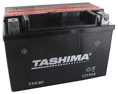 Greenstar 11541 batterij AGM YTZ10S