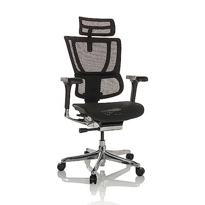 hjh OFFICE Silla de Oficina ERGOHUMAN Slim I Silla de Oficina ergonómica de Malla con Soporte Lumbar Flexible, Negro, 652288