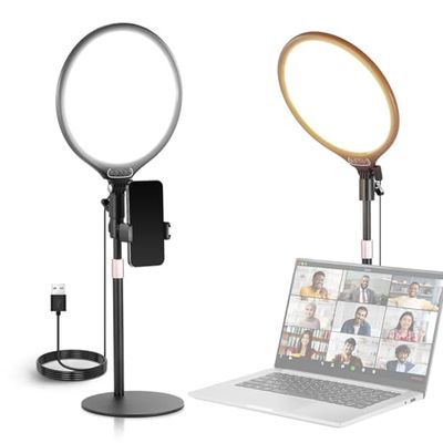 NEEWER Basics Ring Light de Bureau 10,5" avec Support/téléphone/minuterie, 3000-6500K,15W LED Plein écran,éclairage Video pour Selfie,Enregistrement,Streaming,Maquillage,Ordinateur Portable,R10