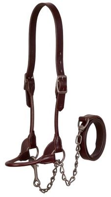 Weaver Leather Licol d'exposition Bombshell pour bétail