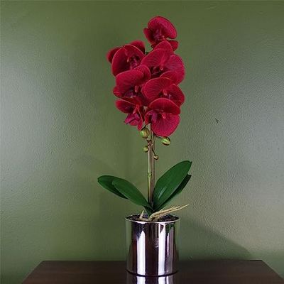 Leaf 46cm Kunstmatige Orchidee Rood met Zilveren Pot