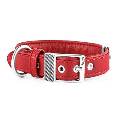 MyFamily Collare per Cane Regolabile in Fibra Sintetica Italiana Made in Italy, Finiture Metalliche in Bronzo Bianco, Confortevole e Resistente, Fatto a Mano, Collezione Bilbao
