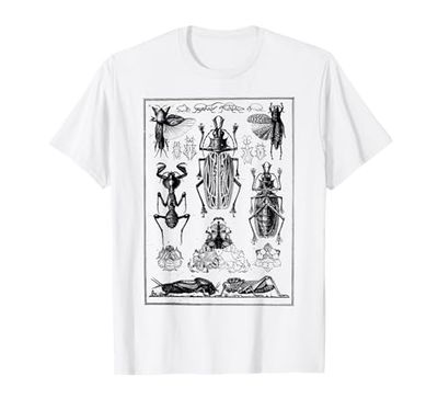 Insetti Specie divertente Insetti Entomologia Vintage Entomologo Maglietta