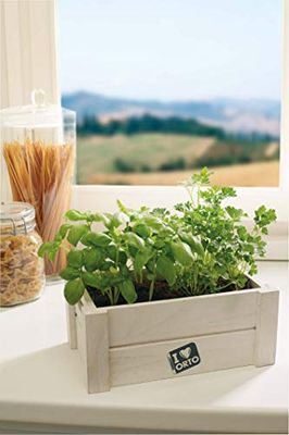 Verdemax "EASYORTO" Basil & Peterselie Kit