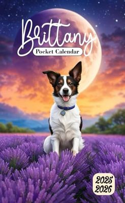 Brittany Pocket Calendar 2025-2026: Small 2-Year Monthly Planner For Purse