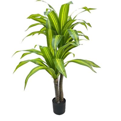 Alexandra House Living Plante décorative en Plastique Dracena 130 cm