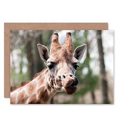 Wee Blue Coo GREETINGS CARD BIRTHDAY GIFT ANIMAL PHOTO GIRAFFE LICKING NOSTRIL