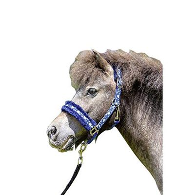 HKM Heart Holster Blauw Mini Shetty