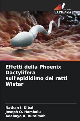 Effetti della Phoenix Dactylifera sull'epididimo dei ratti Wistar