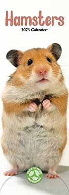 Hamsters Slim Calendar 2023 | Cute Slimline Calendar - 12 Month