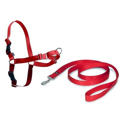 Petsafe Easy Walk hondenservies, inclusief 1,8 m linnen, trekt niet uit, hoog draagcomfort, eenvoudig aan- en uittrekken, Extra groß, rood