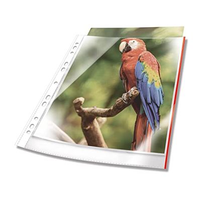Durable Premium A4 Punched Pocket with Coloured Edge Red | Crystal Clear and Made from PP | Pack of 25 | Perfect for Protecting Important Documents