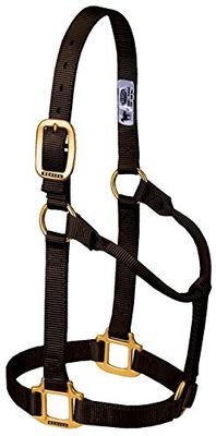 Weaver Leather Originele Niet Verstelbare Halter Med. Bruin
