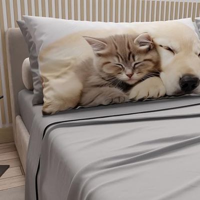 PETTI Artigiani Italiani - Lenzuola Animali con Gatti e Cani in Cotone con Federe in Stampa Digitale, Lenzuola Una Pizza e Mezza, Completo Letto Una Piazza e Mezza Grigio Chiaro, 100% Made in Italy
