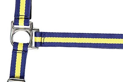 HKM av2022-HKM-nylon Fondina Flags con moschettone-b1bd13f5 Cavezza, Flagge Schweden-7907, Pony