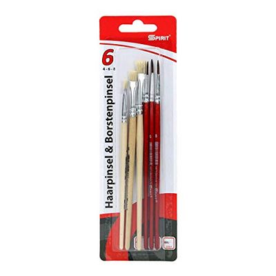 TTS Bristles and Hair Brush - Pack of 6