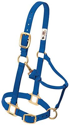 Weaver Leather Nylon Verstelbare Draft Horse Halter, 1", Gemiddeld, Blauw