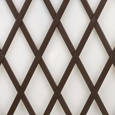 TENAX Treplas 50 x 200 cm, bruin, uittrekbaar hekwerk van pvc, voor wandondersteuning van bloemen en klimplanten