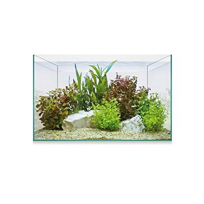 ICA Urna Aquascape Basic 8 6,8 ML