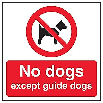 V Safety No Dogs - 150mm x 150mm - Window Sticker