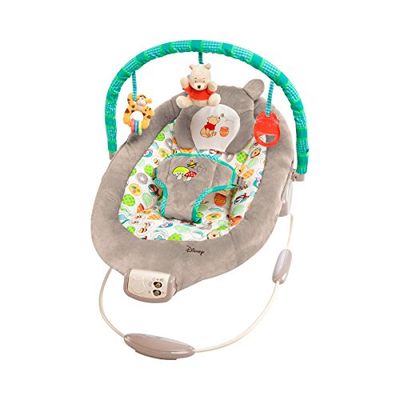 Bright Starts, Disney Baby Rede de bebé Winnie the Pooh vibrações relaxantes - música, barra de brinquedos removível, 0-6 meses (Dots & Hunny Pots)