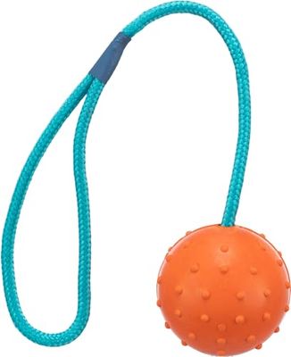 Hundespielzeug Ball am Seil Naturgummi TRIXIE Ø6cm/30cm