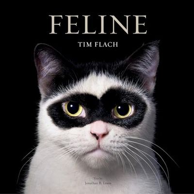 Feline: Photographs