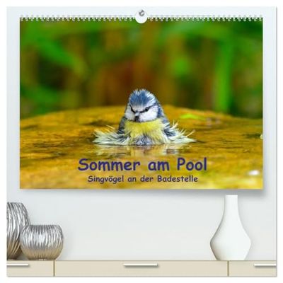 Sommer am Pool - Singvögel an der Badestelle (hochwertiger Premium Wandkalender 2026 DIN A2 quer), Kunstdruck in Hochglanz: Badende Singvögel im Garten