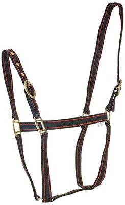Rhinegold Nylon Halster - Volledig - Zwart/Rood