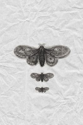 Vintage Butterfly