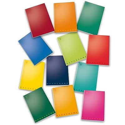Pigna Maxi (A4) liniatuur 10 inch grote vierkanten voor notitieboeken, meerkleurig, 8005235155954