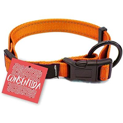 Consentida cn205675 Collana Sicurezza Fluo T-3, 33 – 50 x 2 cm, L, Arancione