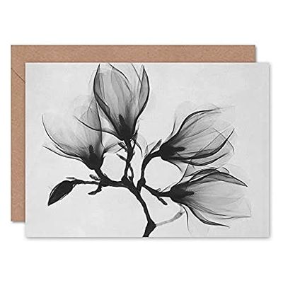 Fine Art Prints CLRK0048 - Biglietto di auguri con motivo ramo di Magnolia Xray, con busta interna di alta qualità
