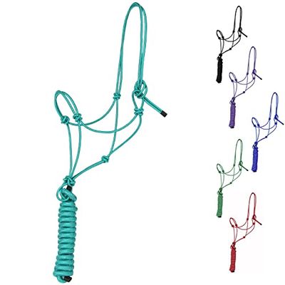 Majestic Ally Licol d'entraînement Rigide en Polyester de 0,6 cm à 4 nœuds avec Laisse Assortie de 3 m pour Chevaux - Full (Turquoise, Plein)