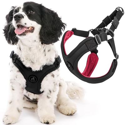 GOOBY Escape Free Harnais de Sport en néoprène, breveté, sans étranglement, pour Chien de Petite et Moyenne Taille, avec réglage à Quatre Points, Noir, Taille S