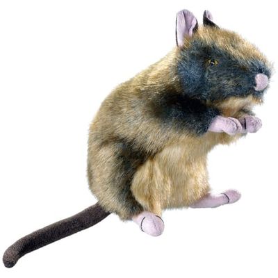 HUNTER Wildlife 44538 - Juguete para Perro, Rata, Talla M