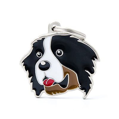 MyFamily Hond Medaille Gemaakt In Italië, Berner, Hondenschotel, Gepassioneerd Voor Metalen Hand, Friends Collectie, 37x37 mm