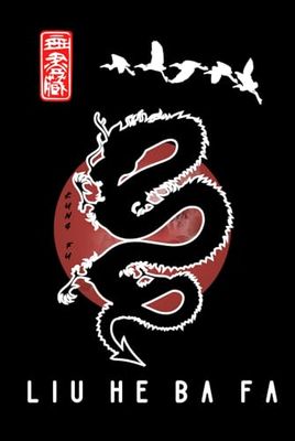 Liu He Ba Fa Journal / Liu He Ba Fa Notebook: Hardcover Liu He Ba Fa Diary / Liu He Ba Fa Logbook