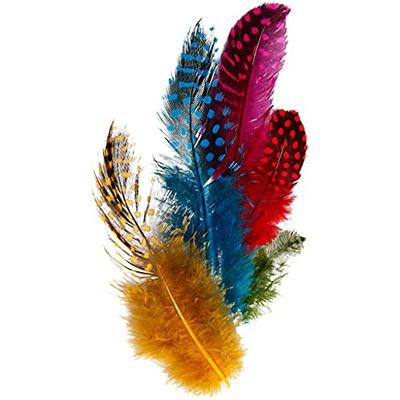 Plumes de pintade