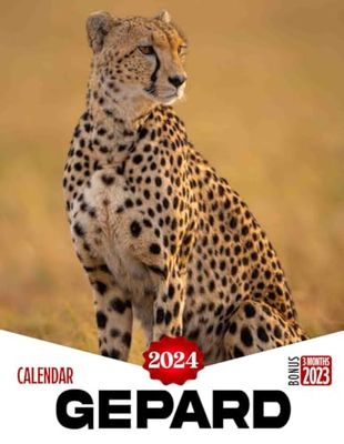 Calendar 2024: Great Gift For Beloved Fan and Collectors, Jan 2024 to Mar 2025, Eco Friendly, Major US Holidays