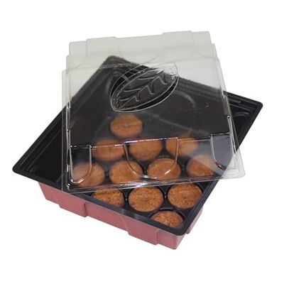 Windhager di Serra da Midi Incluse 12 Torba Incluse, Colore: Terracotta/Antracite, 18 x 19 x 6 cm, 06860