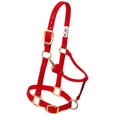 Weaver Leather Original ajustável nylon cavalo halter, vermelho, árabe/vermelho