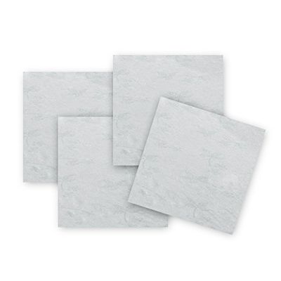 Comptoir du Linge lpr01001 Set van 2 servetten polyester/katoen 50 x 50 x 0,5 cm, wit, 50 x 50 x 0,5 cm